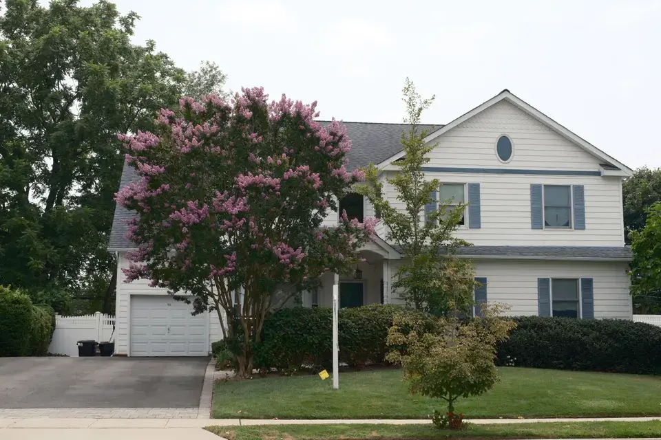 mold removal Holts Summit